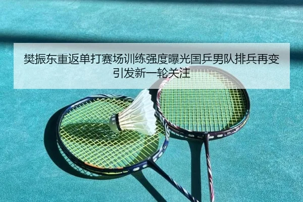 樊振东重返单打赛场训练强度曝光国乒男队排兵再变引发新一轮关注